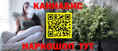 индика Новодвинск