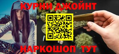 индика Новодвинск