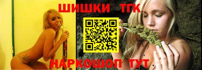 индика Новодвинск