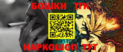 индика Новодвинск