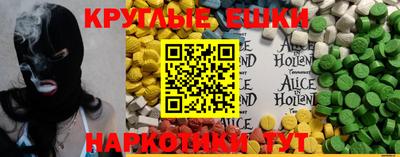 индика Новодвинск