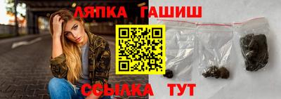 индика Новодвинск